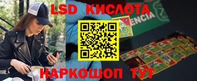 бошки Краснознаменск