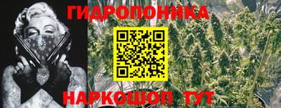 бошки Краснознаменск