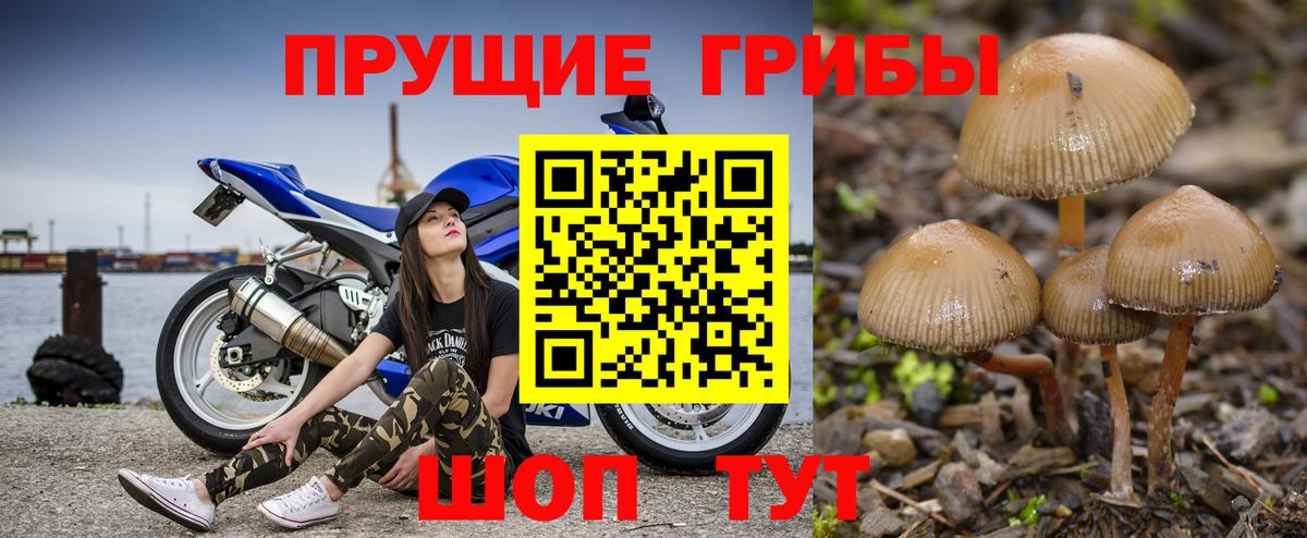 Галлюциногенные грибы прущие грибы  Вход с VPN  Бирск 