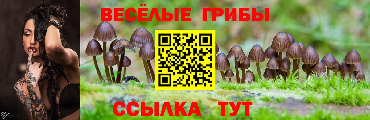 Псилоцибиновые грибы ЛСД Бирск